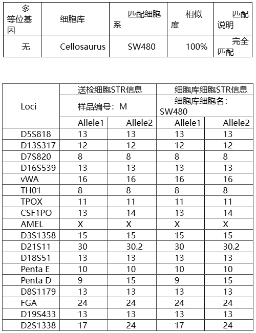 1769154280.png 图片.png