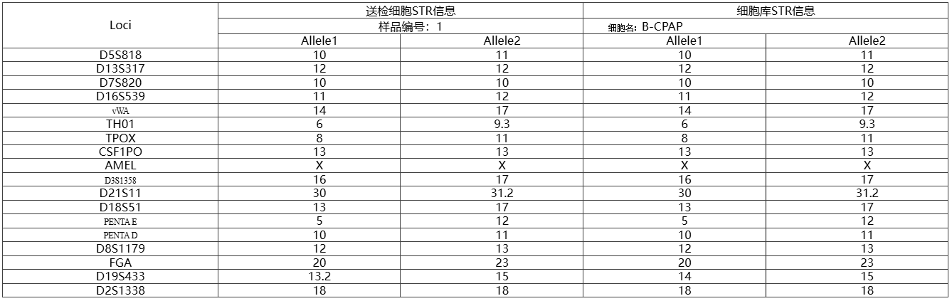 1769156709.png 图片.png